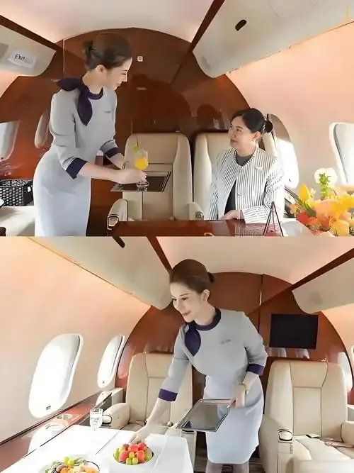 《私人航空/法国航空》未删减版-法国航空高清在线观看-完整版免费播放无弹窗