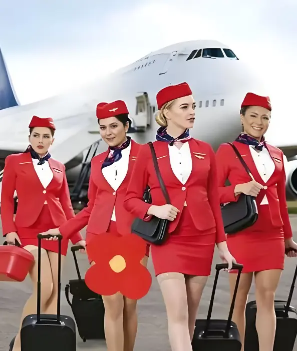 《法国空姐2019》4K蓝光未删减版免费在线观看-法国航空职场剧高清资源下载-《法国空姐》无广告秒播三万英尺高空秘事