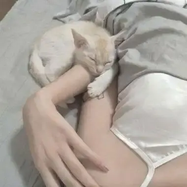 《森泽佳奈》全集未删减中文版高清无广告在线观看-森泽佳奈年度现象级作品蓝光无水印完整版-百度网盘迅雷高速下载资源